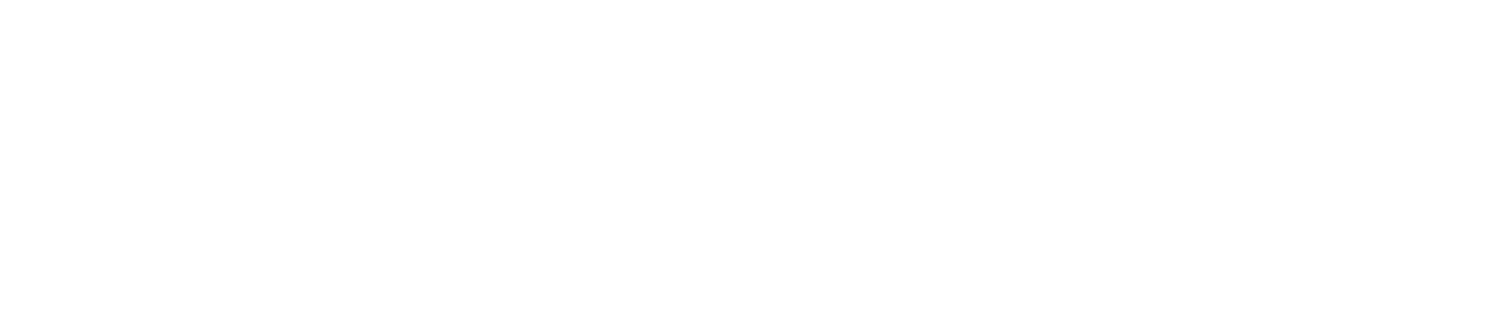 The primary Serious Development logo in knockout white.